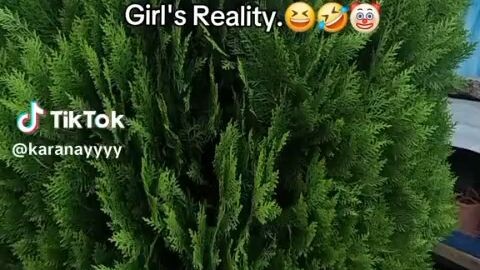 আমরা বাহিরে যা দেখি ভিতরে তার উল্টা।