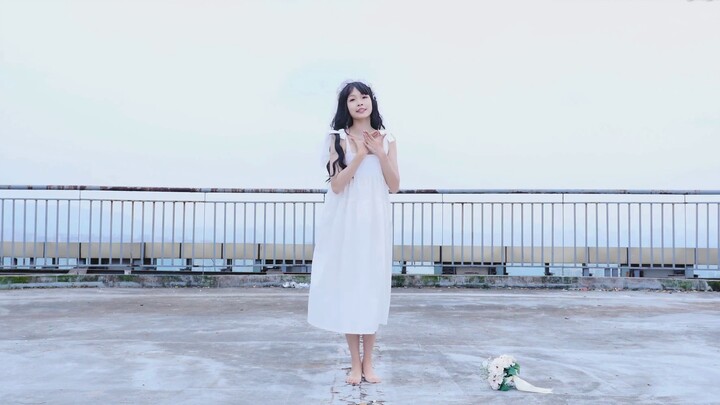 [BML Star Force] Xia Xiaodou♡Swear with Hook Finger♡Biting Cat Zhenfu