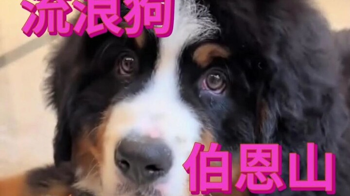 Mereka sendiri bahkan sulit mendapatkan cukup makan, tetapi rela berbagi makanan dengan teman-teman 