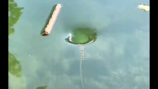 คุณเข้าใจอะไรบ้าง?