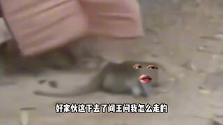 一块破布能接能送