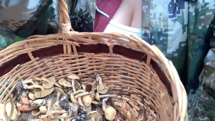 Want to eat my little mushrooms?