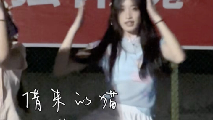 I finally borrowed a cat this time! Come see this adorably contrasting little cake!