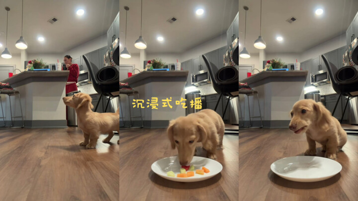 Mukbang imersif 🥣