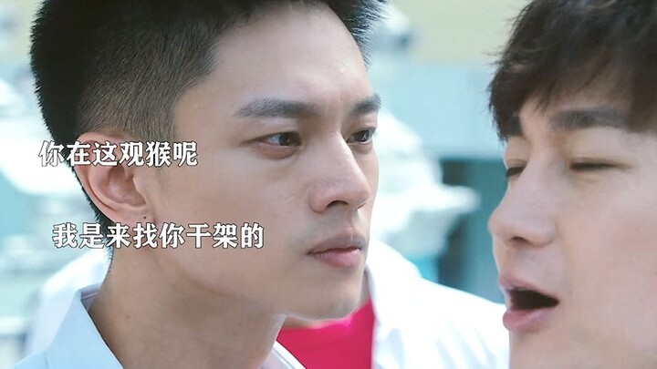 Northeasterner: This isn’t骂人 at all—it’s just being cute!