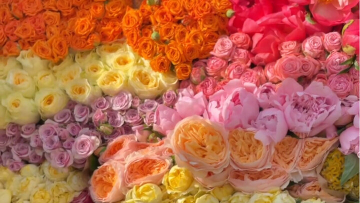 These gorgeous flowers deserve to be shared with you!