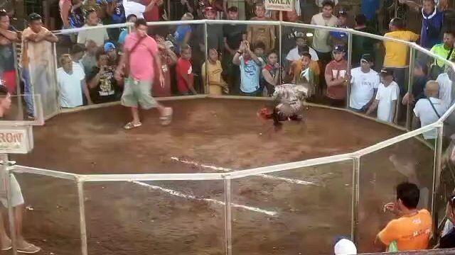 1st fight 3hits ulutan #WIN