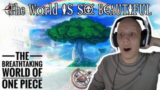 I CAN'T WAIT TO EXPLORE THIS WORLD!.. | The Breathtaking World of One Piece Reaction