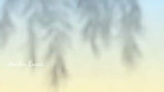 EPISODE 5  TAGALOG