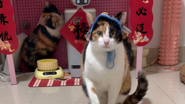 This Is What a Real Listening Test (Out of 100 Points) Looks Like