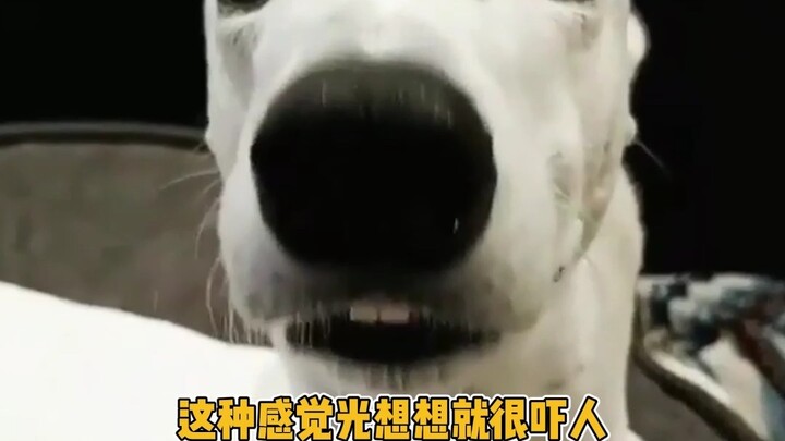 这种断崖式水域，去玩的朋友一定要小心啊