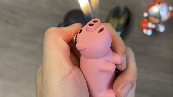 This is like Doraemon’s magic pocket—can fit so many lighters at once! There are actually a few more