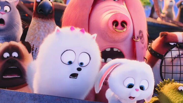 This bunny really doesn’t take a single loss.