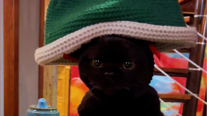 Holy cow! This Christmas tree is insane—it’s freaking me out so hard!