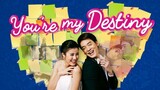 You're My Destiny Episode 4 (TagalogDubbed)