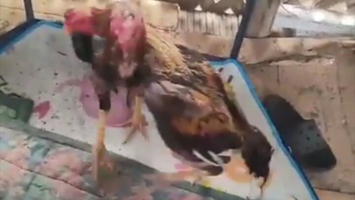 Di pa naubos kape, kaya kumuha ulit ng kapalit.