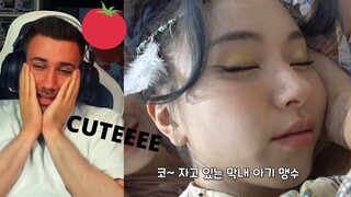 OMG 😳🍅 TWICE TV “MORE & MORE” Comeback Week #1 - REACTION