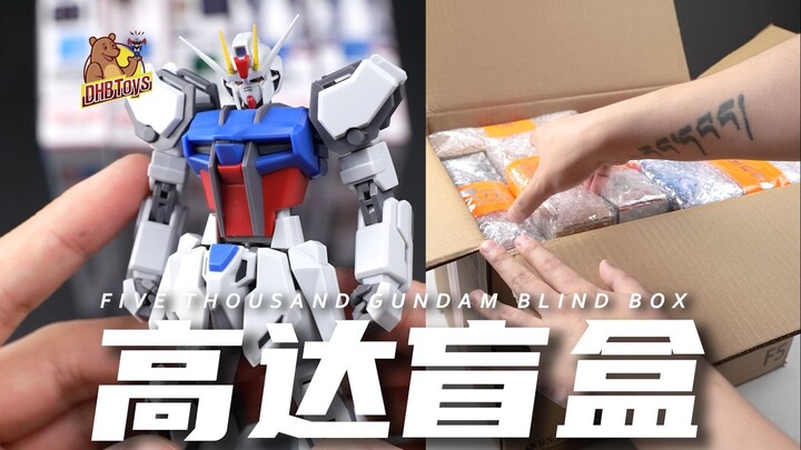 What can you get from the 5000 Gundam blind box? 【DHB Toys】
