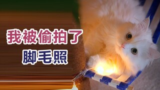 Orang lain hanya melihat bulu di telapak kakiku, tetapi kalian melihat beruang di telapak kakiku.