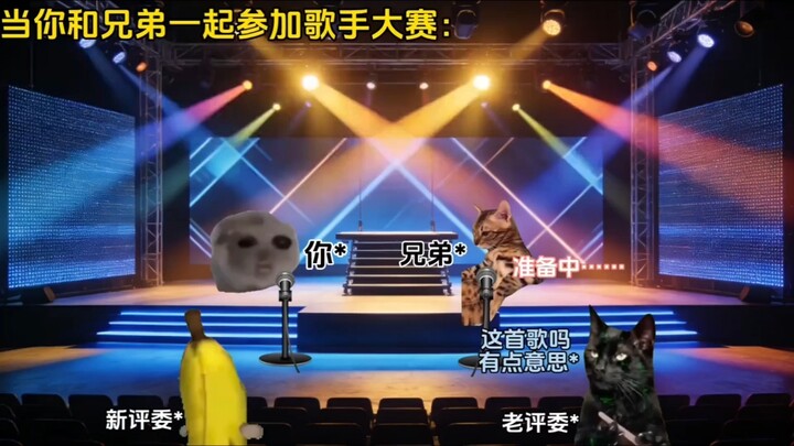 When you and your buddy enter a singing competition—this is what it’s like #CatMemeMaterial #CatMeme