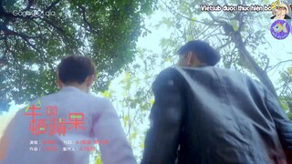 Lá Chắn Miễn Dịch - Tập Đặc Biệt