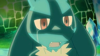 Eleven Pokémon that have been confirmed dead, the last one is full of heartache