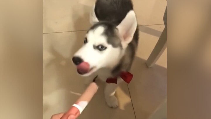 "Kéo cực độ"