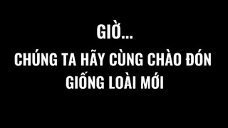 Một vidieo ngắn về sinh vật đặt biệt 🦖