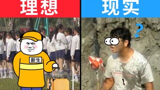 你以为的专业 VS 实际上的专业