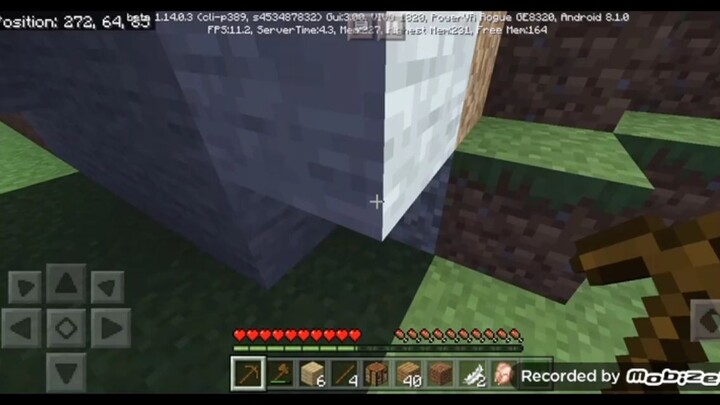 MINECRAFT