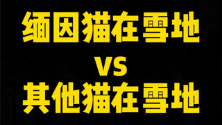 من يرى ماين في الثلج ولا يصرخ فورًا: يا للروعة! كم هو رائع!