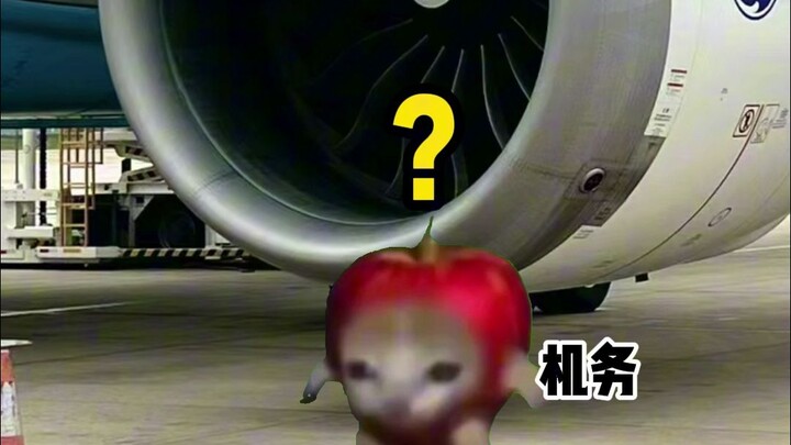 ช่างซ่อมบำรุง: ฉันขึ้นเวลารอบเช้าตรู่