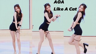 【AOA】猫步轻悄｜喵～小黑猫出没 Like A Cat路演翻跳直拍
