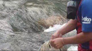 cast net fishing in Nepal | asala fishing | himalayan trout fishing |