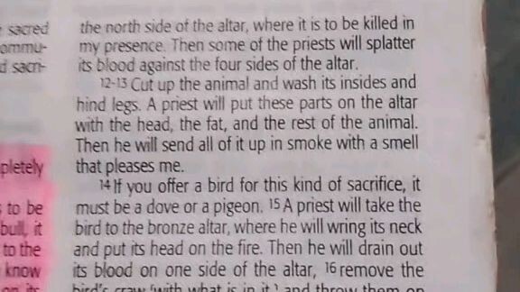 Daily Verse.       Leviticus1:14-17