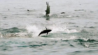 tuna guys 😍😍😍😍