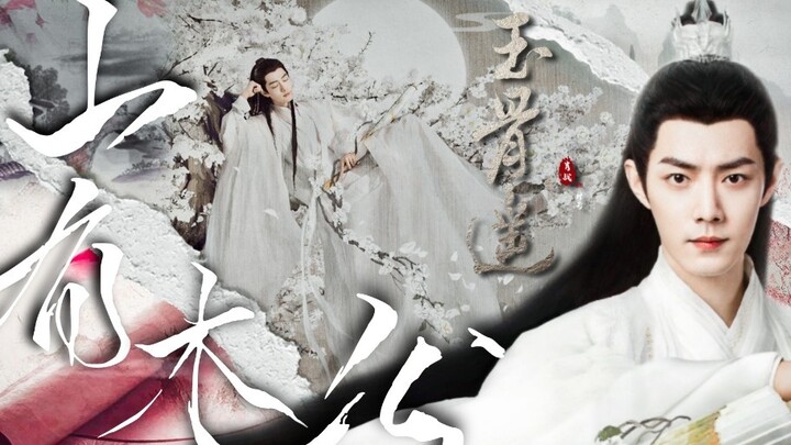 Xiao Zhan's Filmography|There Are Trees on the Mountain