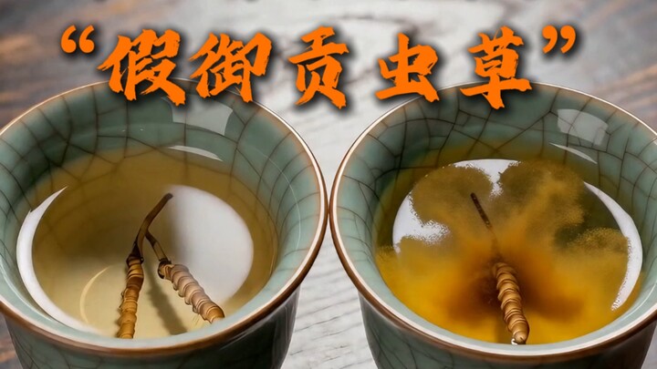 Lý Nhất Thủ và Tiểu Thạch Đầu “sâm nhung ngự cống giả”