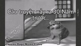 Câu Chuyện Hộp Sữa Và 30 Năm Sau | Cheems Doge Meme Video