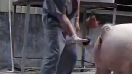 حقًا، حتى لو رميتَ عليَّ لبنةً، فلن أخافَ مثلَ هذا القدر.