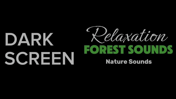 8 Hours Calming Forest Sound for Sleep and Stress Relief 🌿 Dark Screen