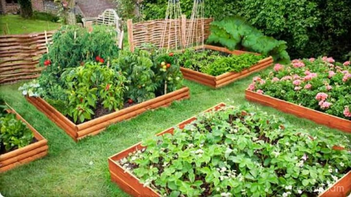 Mẹo làm vườn ai cũng biết #tip