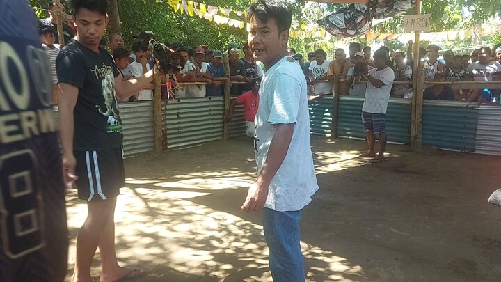 broodcock in action parehas baldado ang kalaban team petmalu for the win