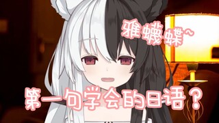 [Arisu Mana] This must be the first sentence you learned in Japanese! [30w commemorative live broadc