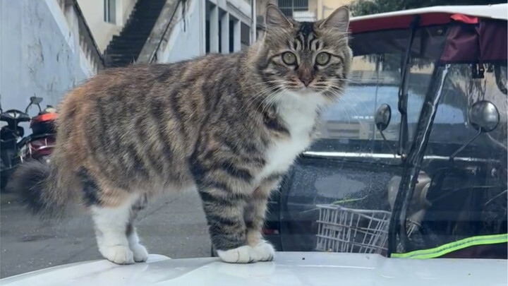 ظهرت بسرعة بزخّة واحدة!