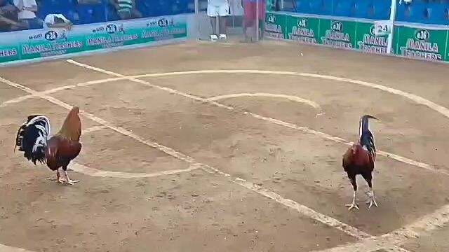 Dalusapi na nabalda winner fight