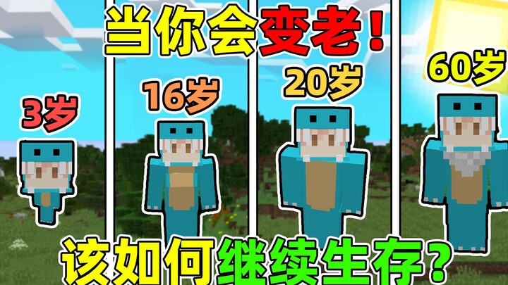 What Do You Do When You Get Old? Fun Survival in Minecraft