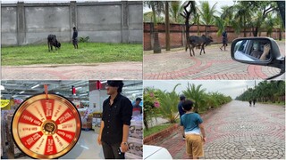 জীবনের প্রথম গরু কিনতে এলাম আলহামদুলিল্লাহ ||