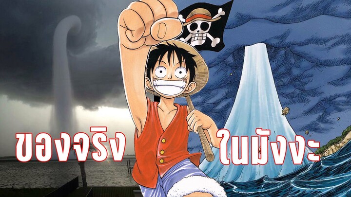 เรื่องจริงที่อยู่ในอนิเมะเรือง One piece