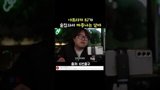 아프리카 BJ가 술집에 방송하러오면 일어나는일 ㅋㅋㅋㅋ #shorts